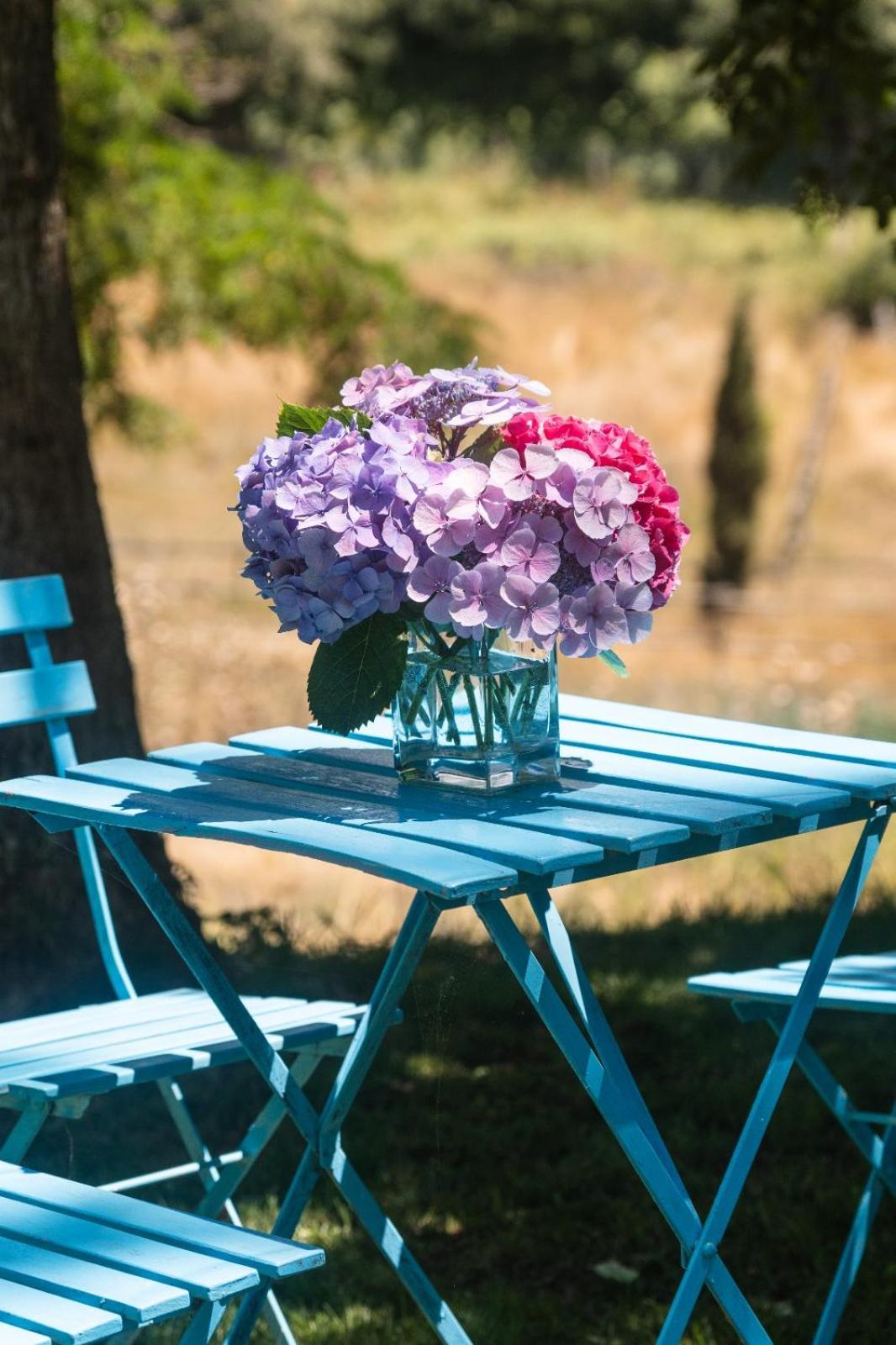 Bed and Breakfast Collina Blu Больсена Экстерьер фото