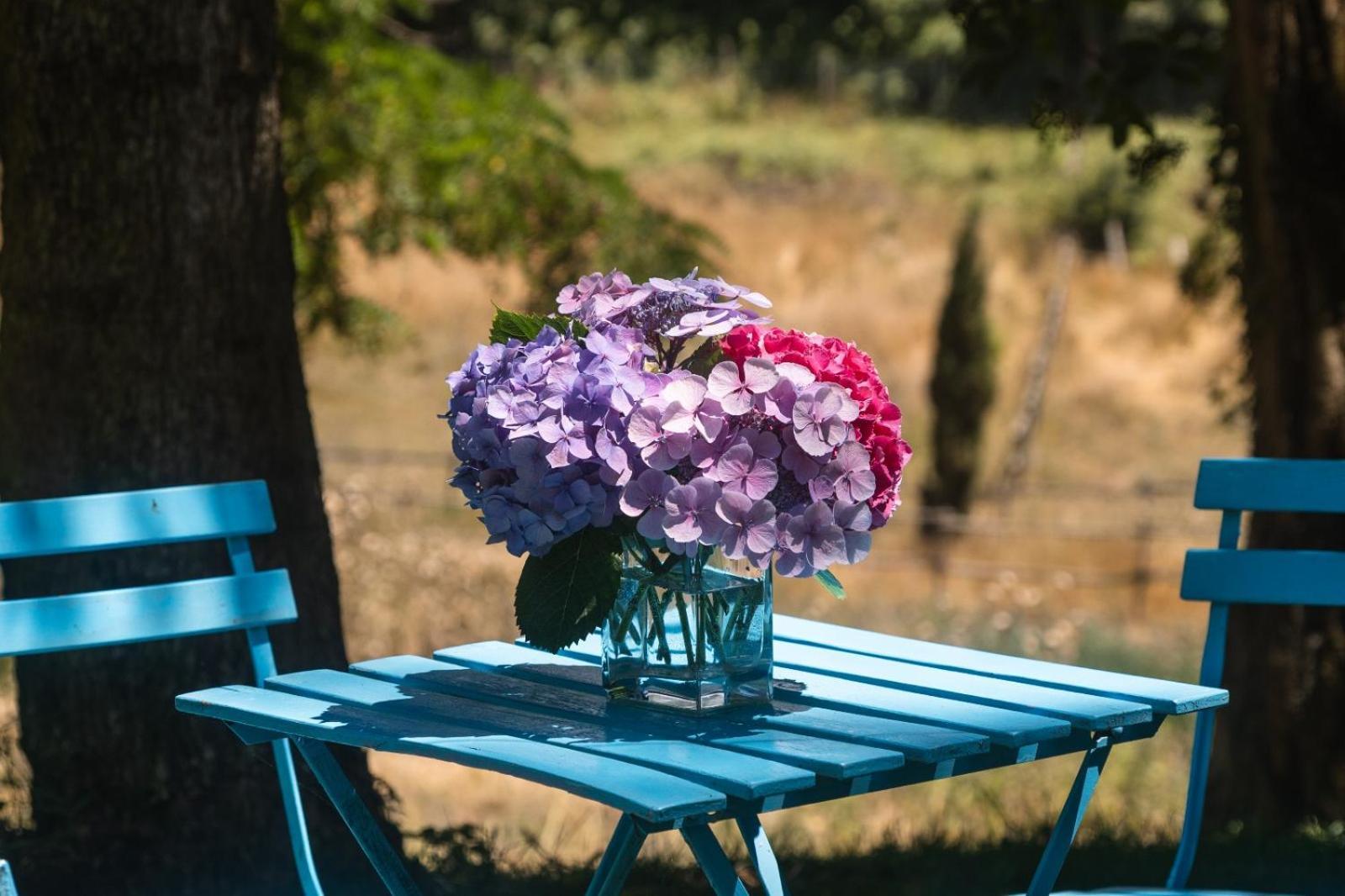 Bed and Breakfast Collina Blu Больсена Экстерьер фото